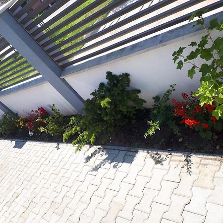 Apartament Saguna Sînnicolau Mare Esterno foto