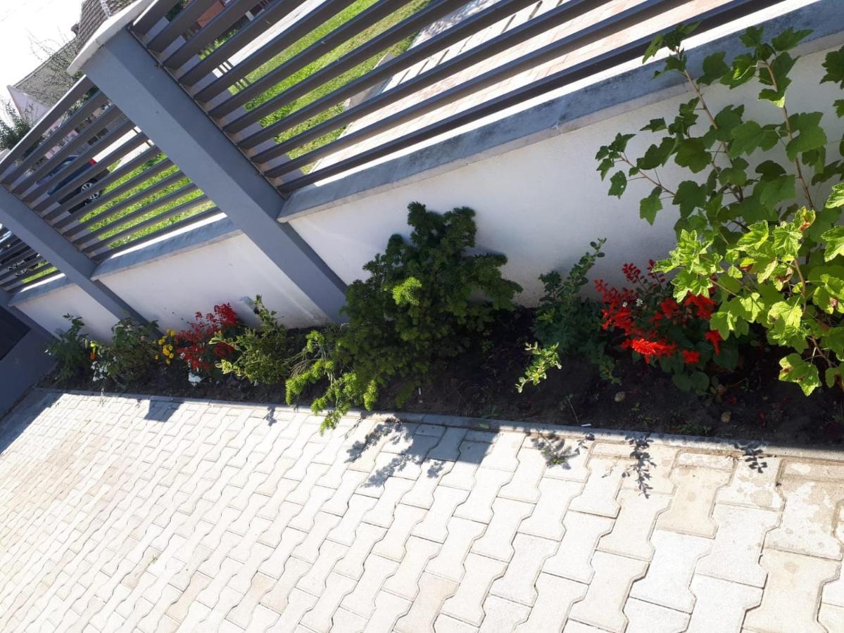 Apartament Saguna Sînnicolau Mare Esterno foto